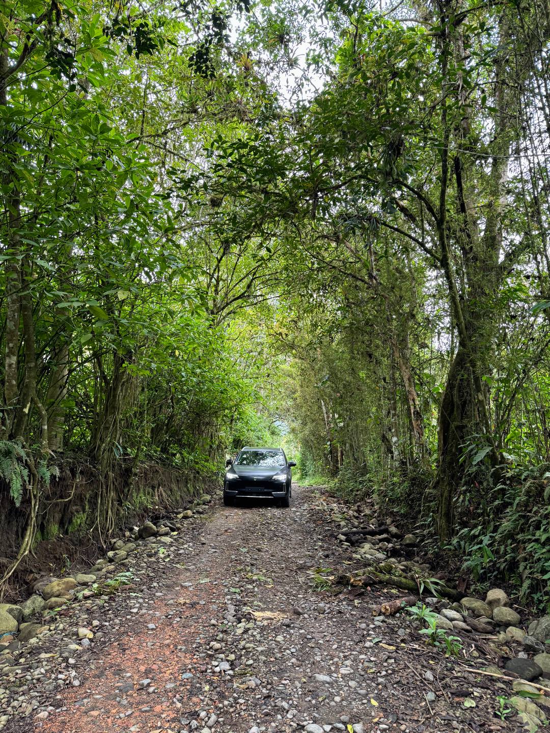 The black Skywell BE11 with its headlights on, on a stone track through the cloud forest near Mindo.